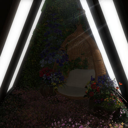 Skylights and flowers