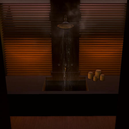 Steamy sunset shower